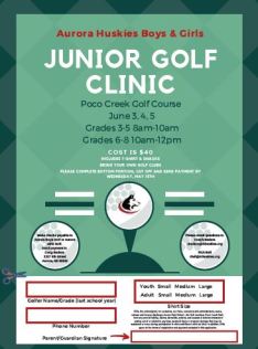 Golf Clinic Icon